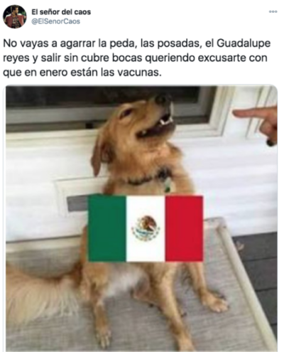 Memes méxico perrito guadalupe reyes