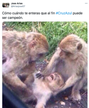 Meme de changos infartados por el triunfo de Cruz Azul