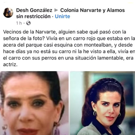 Post de Renata Flores facebook