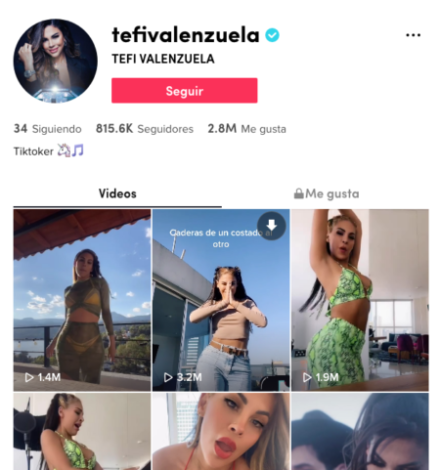Perfil de Tefi Valenzuela en tiktok