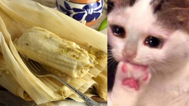 Abuela regala 800 tamales al personal médico que la salvó de la Covid