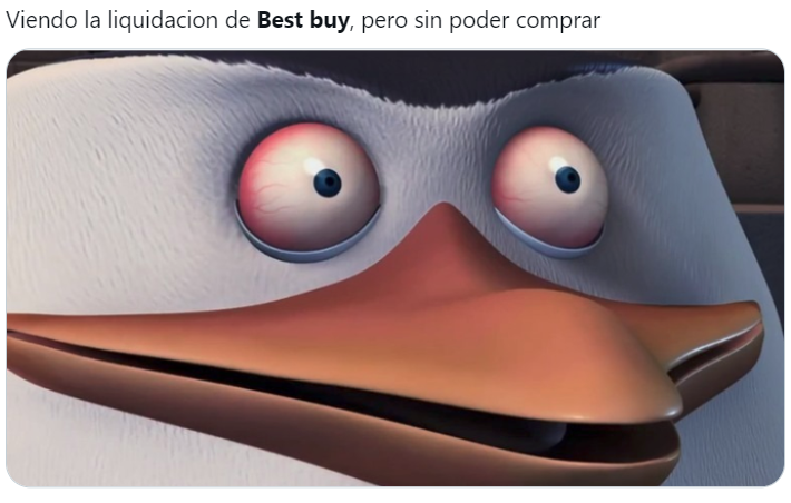 memes-liquidacion