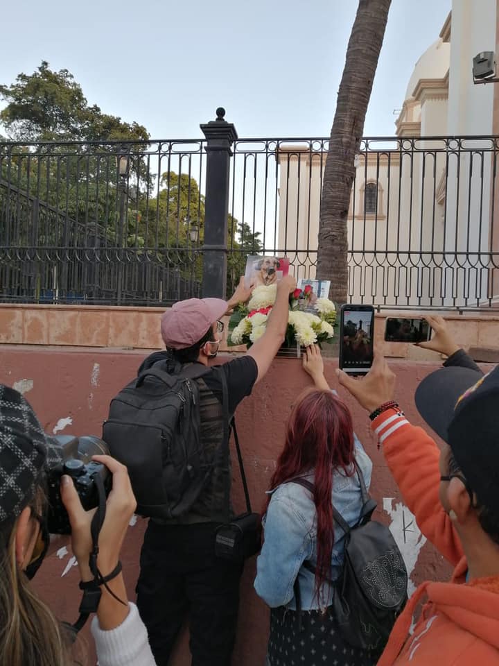 Muere Capitán, el perro más querido de Culiacán