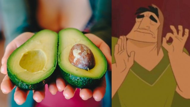 Científicos pagarán por comer aguacates para demostrar que ayudan a bajar de peso