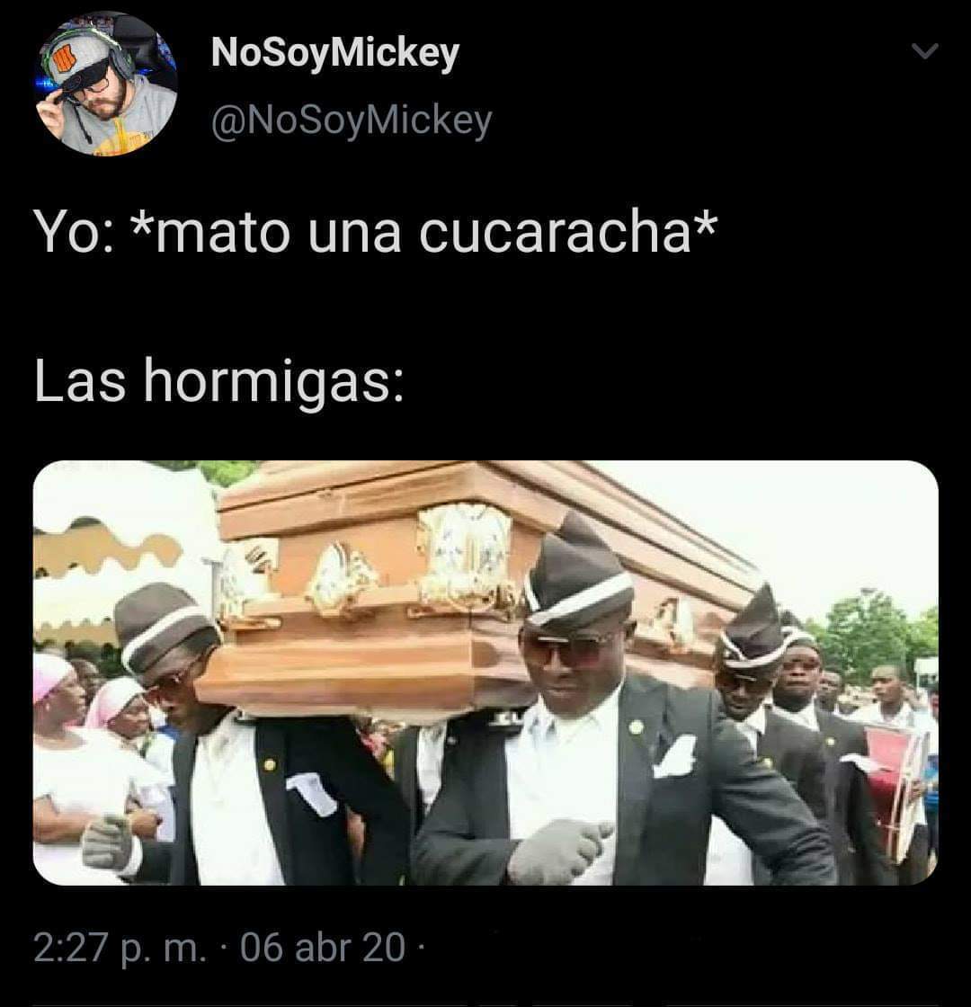 Meme africanos cargando ataud