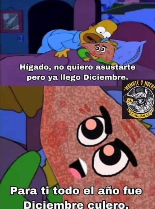 Meme de homero no quiero asustarte