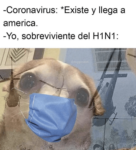 Meme perrito con cubrebocas