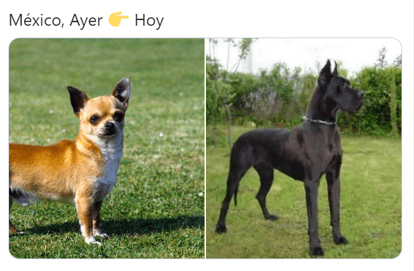 Memes de MÃ©xico como Dinamarca