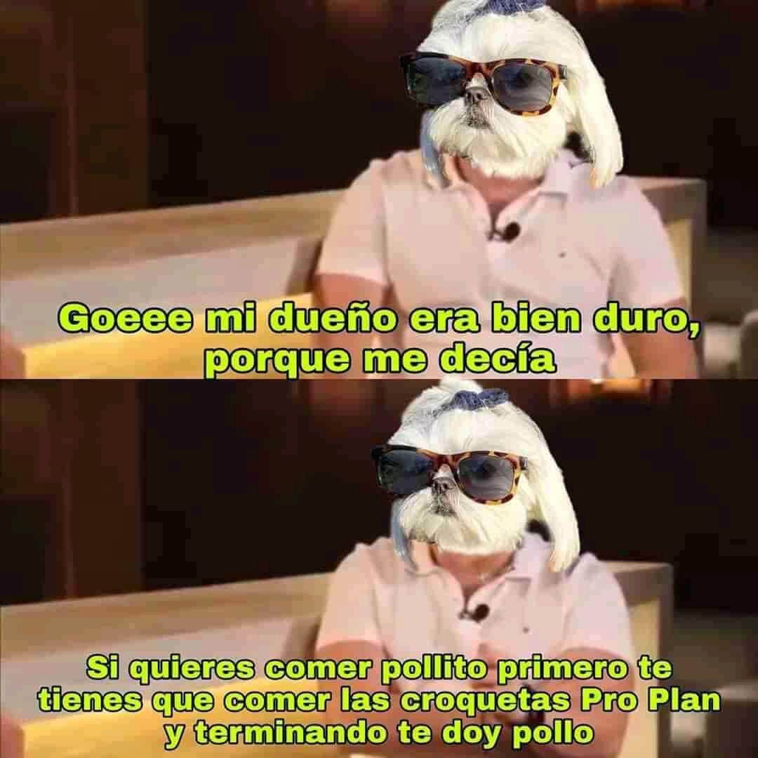 Los mejores memes de Samuel García obligado a jugar golf