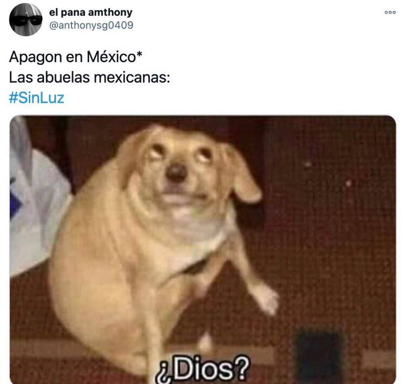 meme perrito Dios