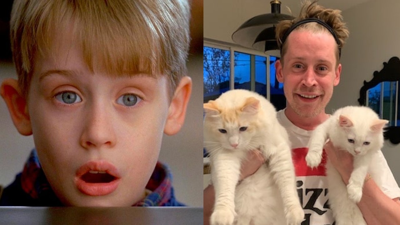 Macaulay Culkin Mi Pobre Angelito