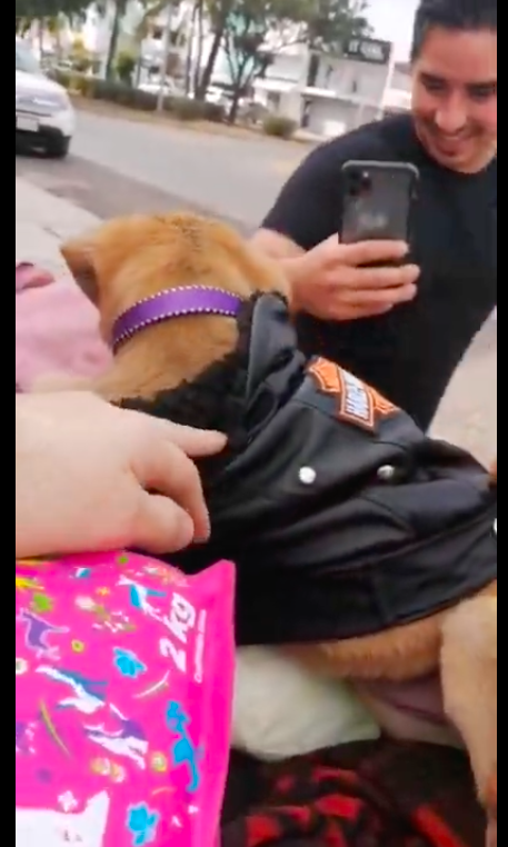 Traviesa, la perrita de don Manuel