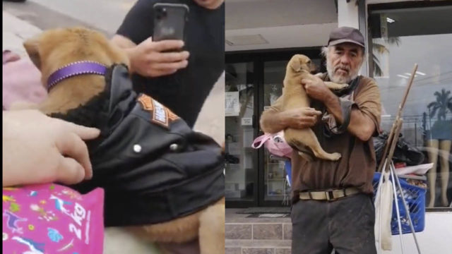 Abuelito vagabundo pide ayuda para encontrar a su perrita