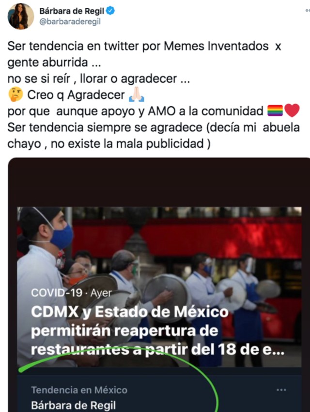 Barbara de regil se defiende de los actos homofóbicos