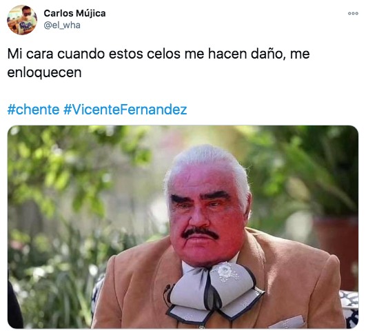 Meme de vicente fernández estos celos me hacen daño