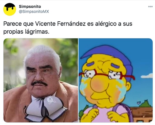 Meme de Vicente Fernández gordo como Milhouse