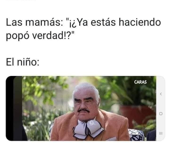 Meme vicente fernández popo
