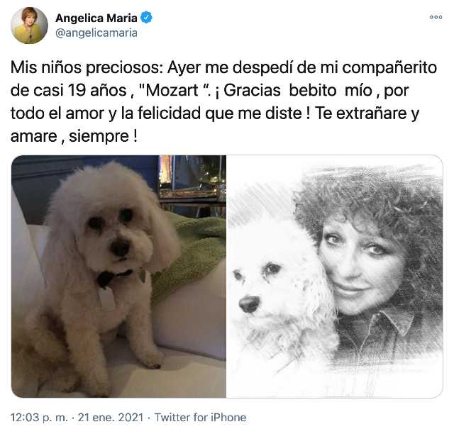 Angélica María de luto por muerte de su perro Mozart