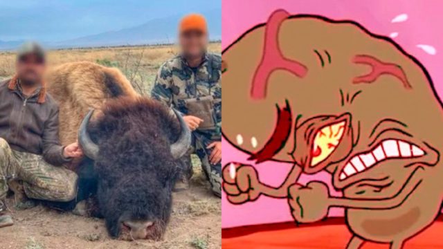cacería de bisontes en coahuila