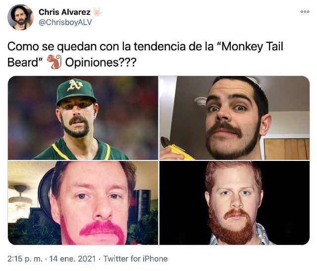 barba de cola de mono nueva moda