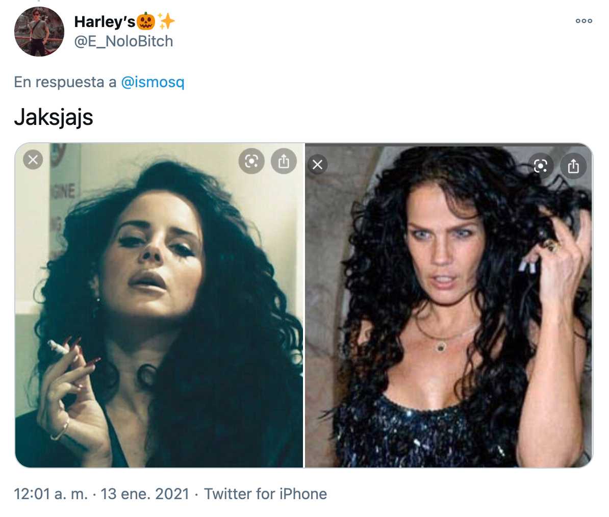 Comparan a Lana del Rey con Niurka