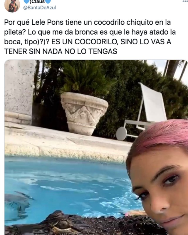 Tuit criticando a lele pons por tener un cocodrilo amarrado