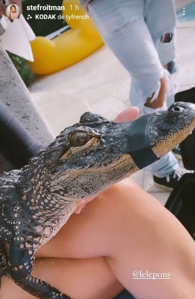 Lele Pons cocodrilo
