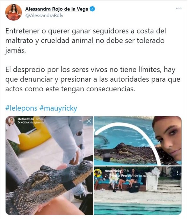 Lele Pons con un cocodrilo: Maltrato animal