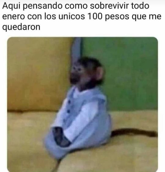 Meme de cómo sobrevivir con 100 pesos