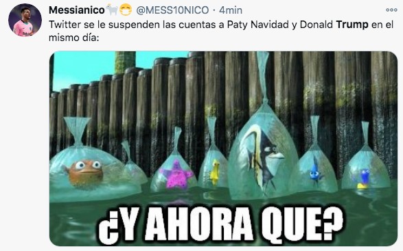 Memes paty navidad y trump cuentas twitter