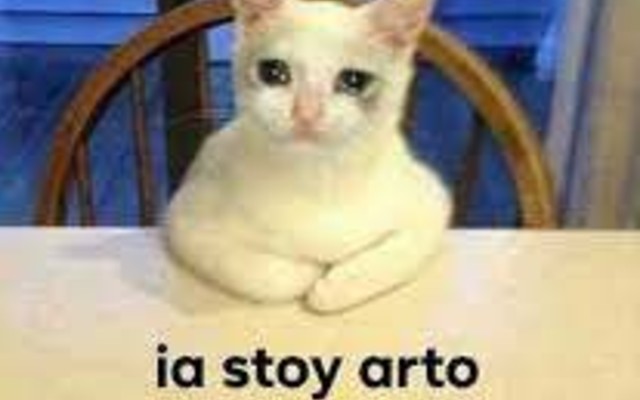 meme de ya estoy harto
