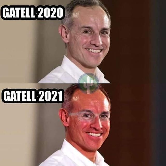 Gatell bronceado