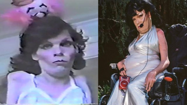 Sandie Crisp Obedece a la morsa
