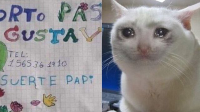 Cv dibujo meme gato