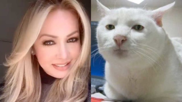 Paty Navidad abre nueva cuenta de Twitter y exige respeto a sus derechos