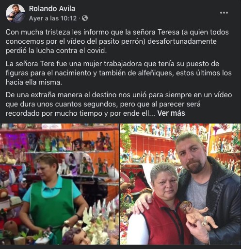 Publicación de la muerte de teresa del pasito perrón