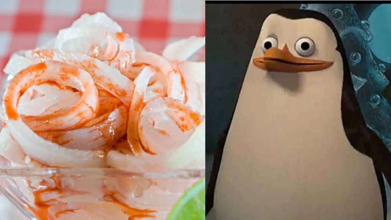 Cueritos meme pingüino