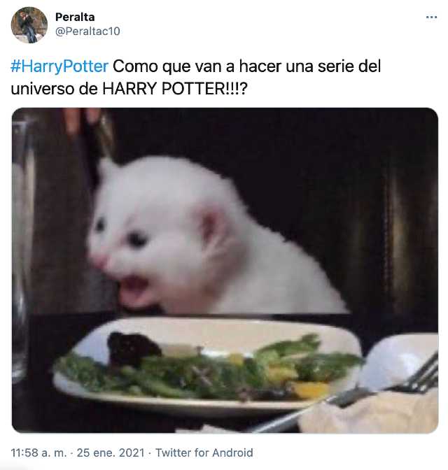 Reacciones a la serie de Harry Potter