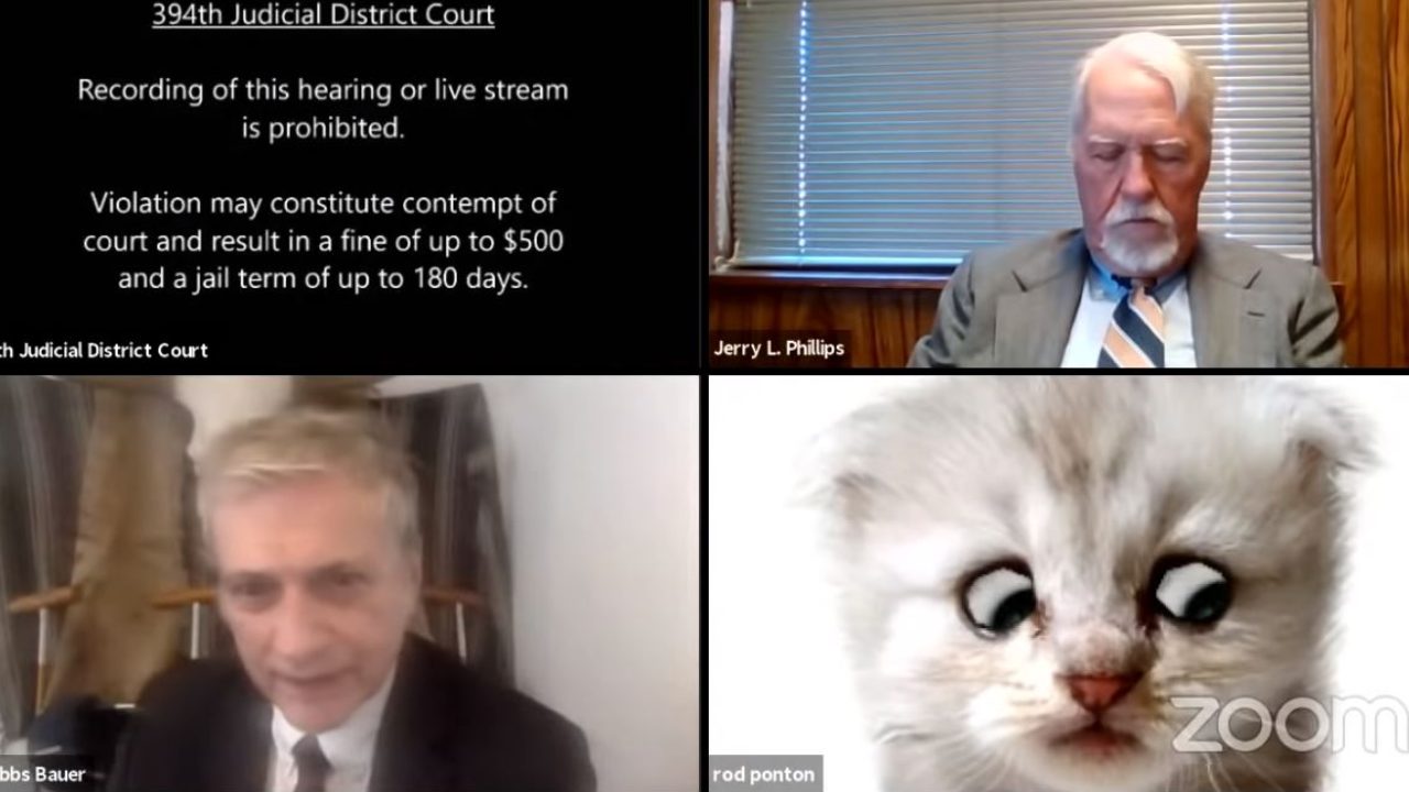 Abogado activa por error el filtro de gato durante audiencia