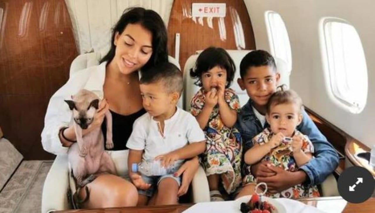 cristiano ronaldo gato jet privado veterinario