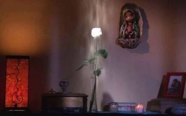 Presidencia censuró La Rosa de Guadalupe