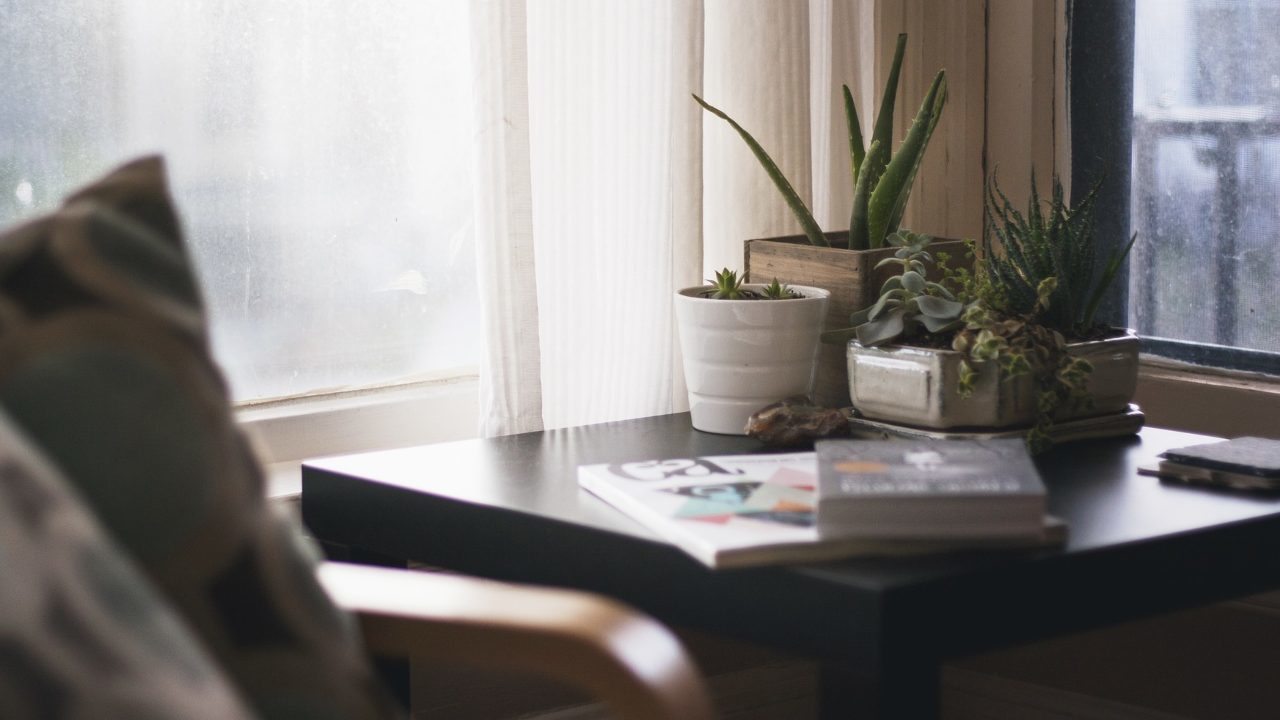 Los jóvenes prefieren "criar" plantas que tener hijos por esta razón, según un estudio