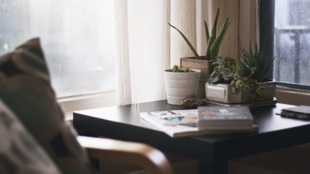 Los jóvenes prefieren "criar" plantas que tener hijos por esta razón, según un estudio