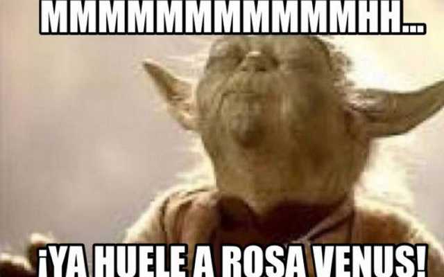 Meme del 14 de febrero del jabon rosa venus
