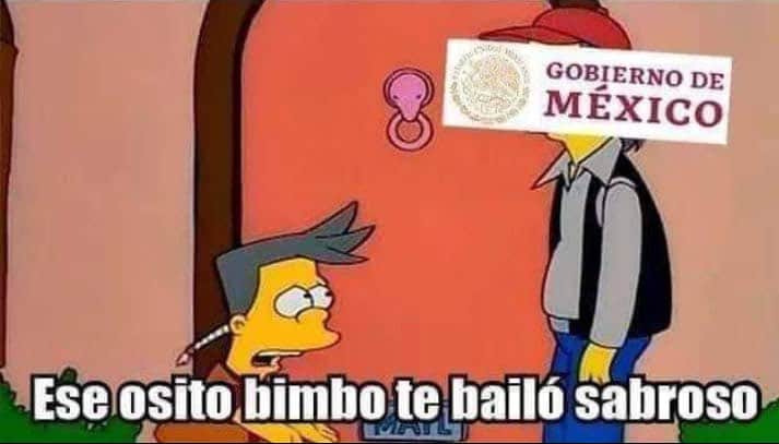 meme osito bimbo gobierno