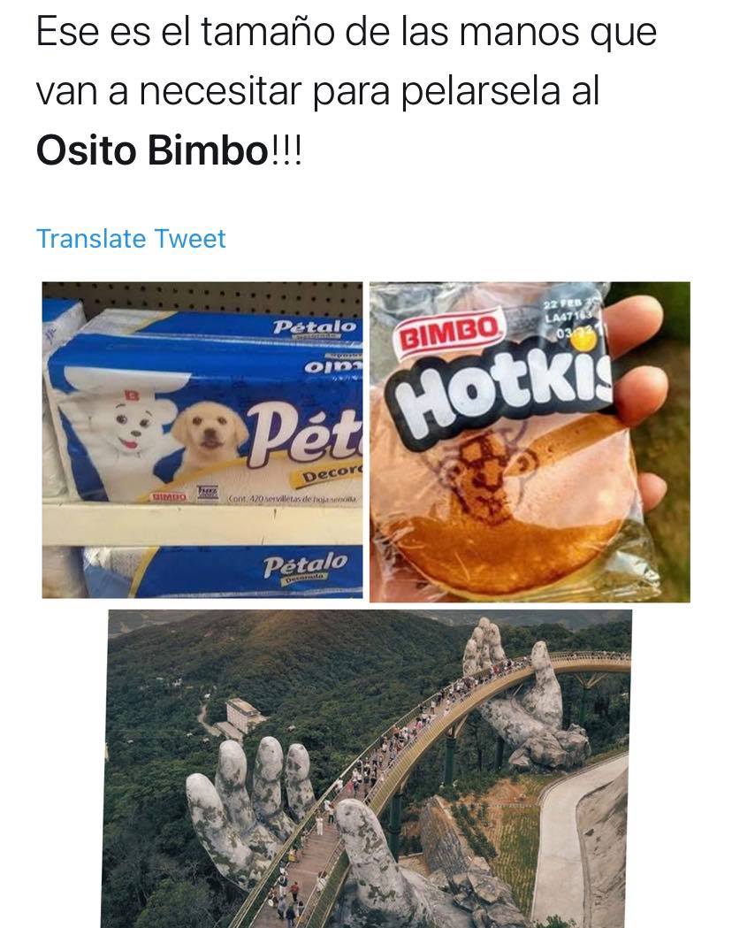 meme osito bimbo servilletas y hotkis