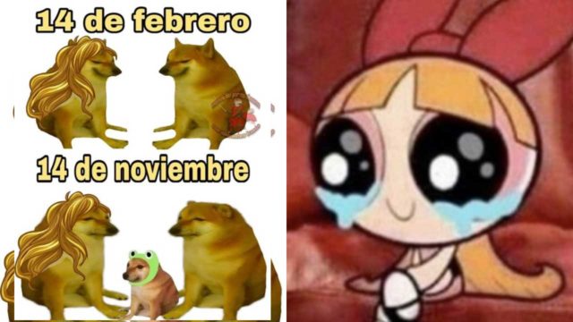 Los mejores memes del 14 de febrero para no sentirte solo en San ValentÃ­n