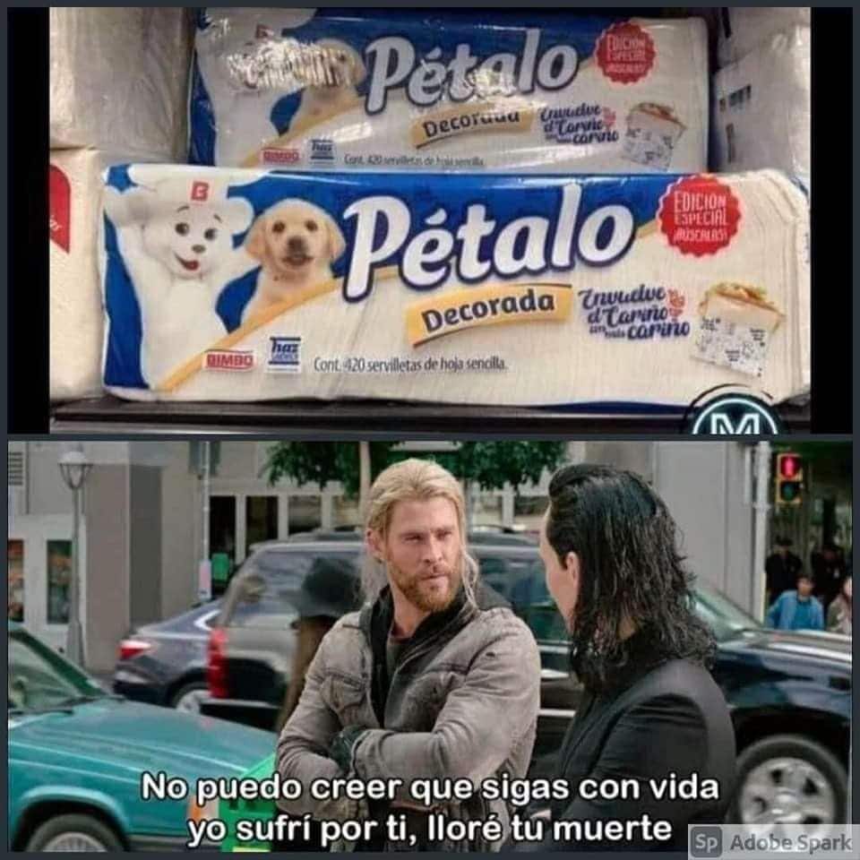 meme osito Bimbo servilleta