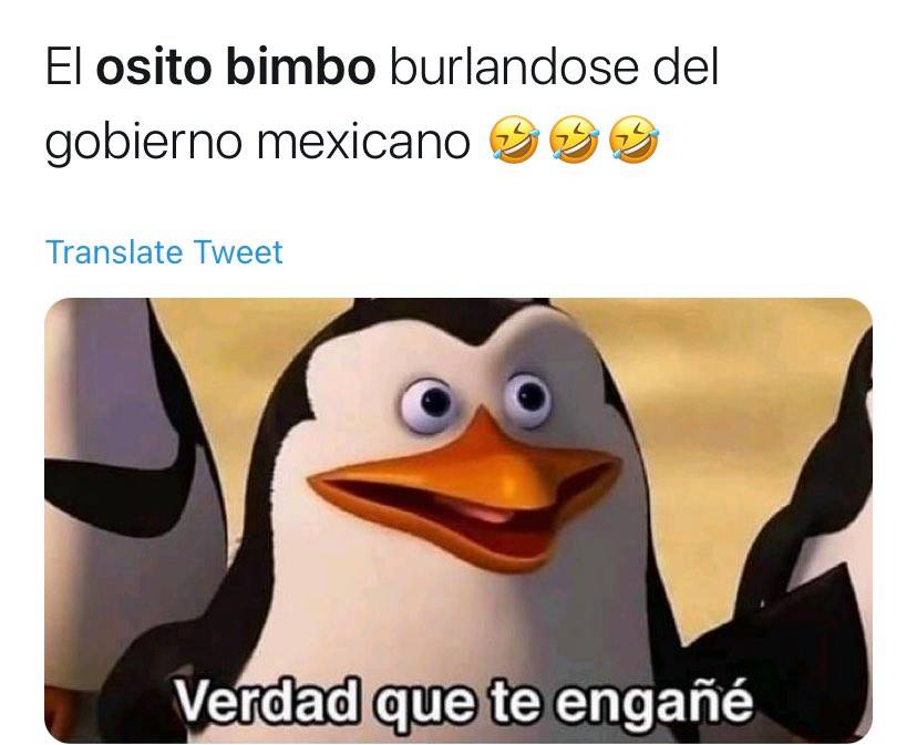 memes bimbo pinguino