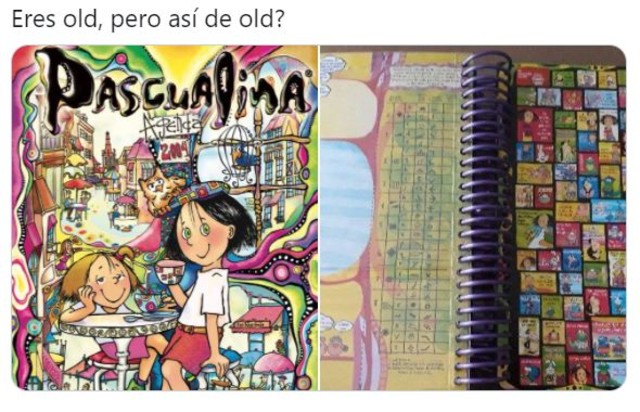 Meme pascualina